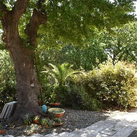 Boschetto Valle D'itria: Quercia Appartement *