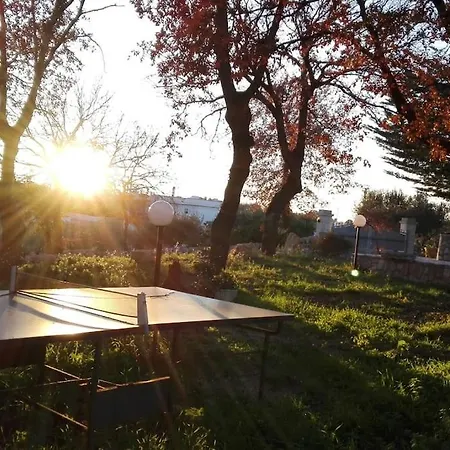 Boschetto Valle D'itria: Quercia * Cisternino
