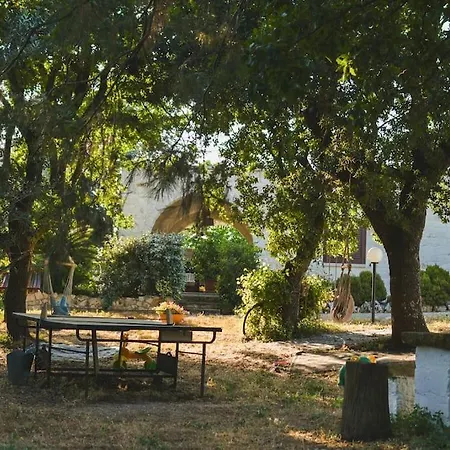Boschetto Valle D'itria: Quercia